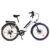 Stedelijke Elektrische Fietsstad
