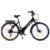 Stedelijke Elektrische Fietsstad