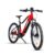 Central Motor Electric Mountain Bike