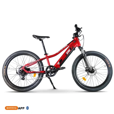 Berna | Ebike Montaña Infantil